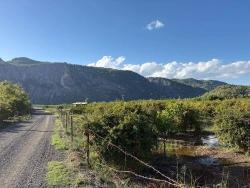 Land Zu verkaufen in Yeşilyurt Bz. Ortaca - Gehäuse-Zonierung - 3.999 m²
