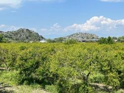 Land Zu verkaufen in Dalyan Bz. Ortaca - Gehäuse-Zonierung - 5.100 m²