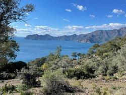 Feld Zu verkaufen in Çandır Bz. Köyceğiz - Feld-Zonierung - 20.000 m²