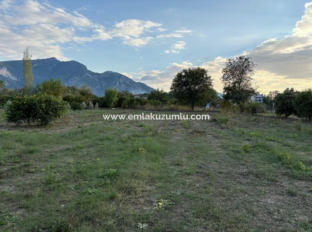 7.450M2 Land Zum Verkauf In Der Nähe Des Zentrums Von Dalyan