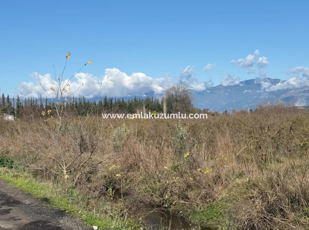 23.000M2 Freistehender Feldgarten Zum Verkauf In Tepearasin,