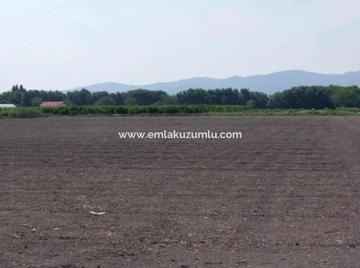 Bauernhof Zum Verkauf In Dalyan Eskikoy Eskikoy Oriya 14,900M2 Grundstück Zu Verkaufen Feld