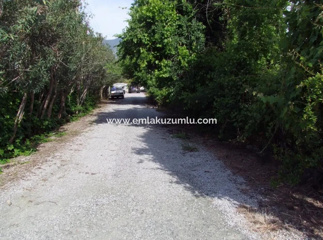 1500M2 Grundstück Zum Verkauf In Dalyan Gulpinar, Dalyan Grundstück Zum Verkauf, 40 Rechts Um Die Ecke