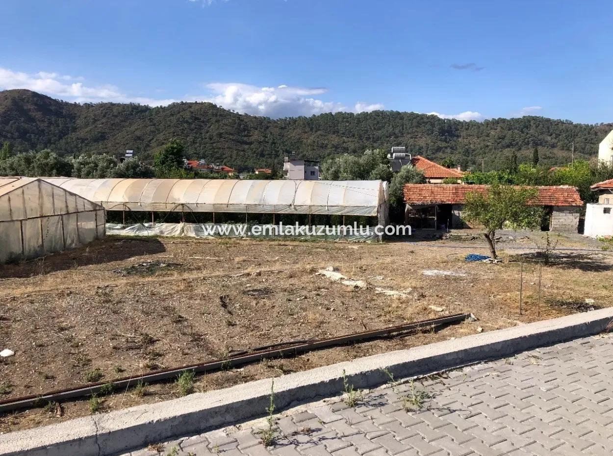 Oriya 560 560 Sq Ft Grundstück Zum Verkauf Gewerbeflächen Hauptstraße Zum Verkauf Eksiliyurt Null