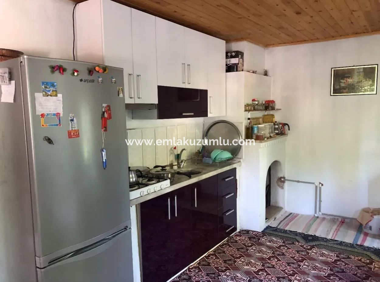 752M2 Grundstück Zum Verkauf Zum Verkauf In Bogenschützen Koyevi Bungolev