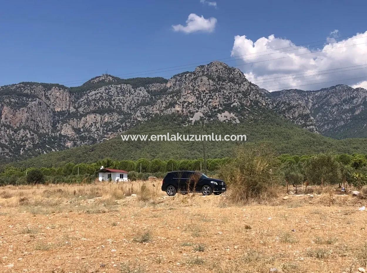 11.227M2 Grundstück Zum Verkauf Mit Seeblick In Köyceğiz Zeytinalan