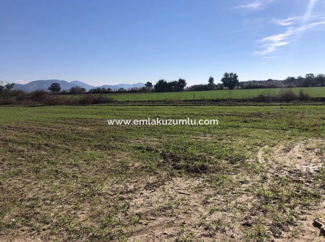 Land Zu Verkaufen In Sar'germede 30.000M2 Land Zum Verkauf Mit Meerblick