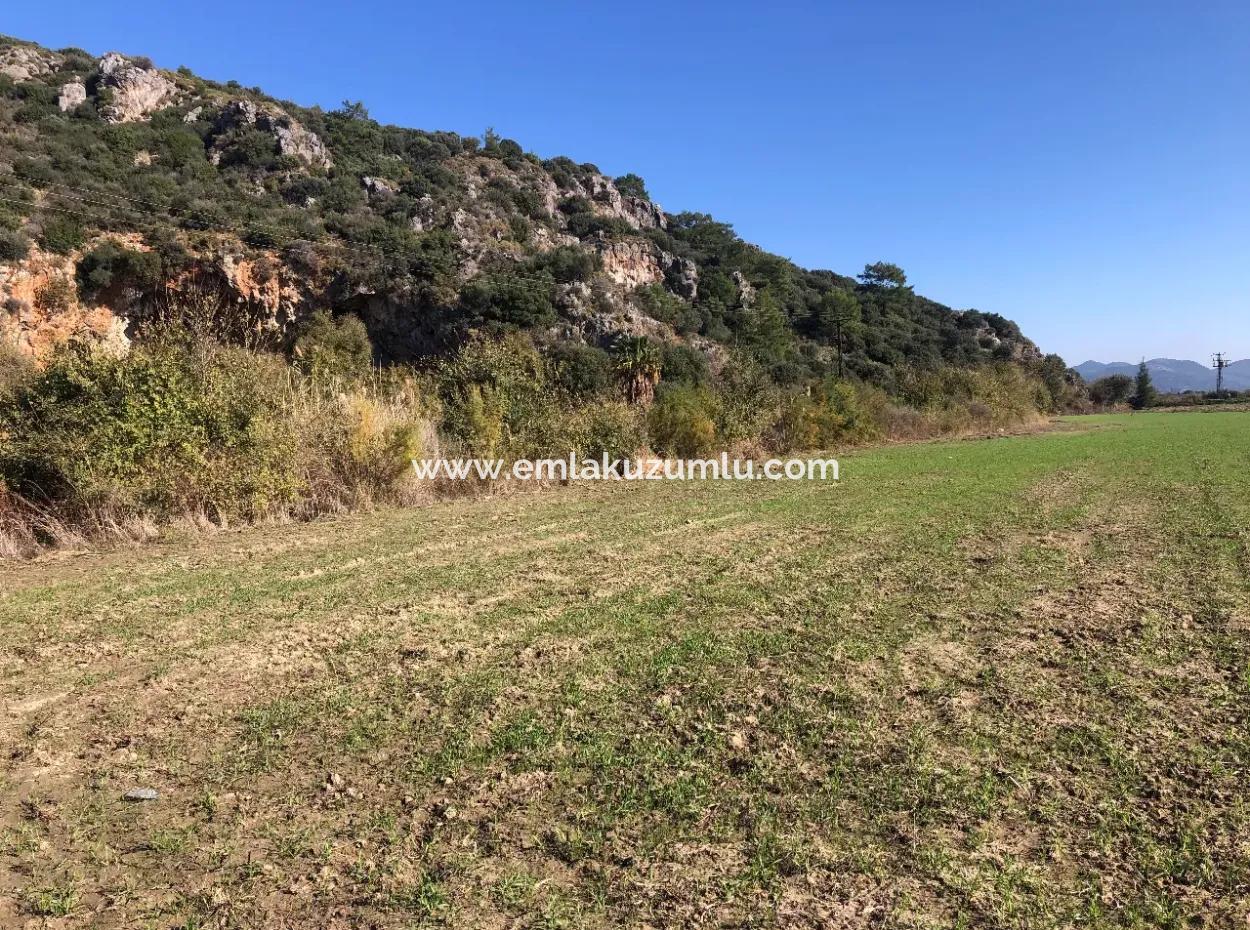 Land Zu Verkaufen In Sar'germede 30.000M2 Land Zum Verkauf Mit Meerblick