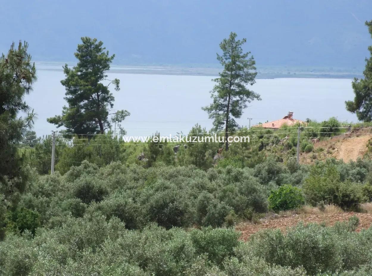Luxus-Villa Zu Verkaufen In Zeytinalanda Köyce'inz Zeyt'nalanda 6800M2 Land Villa Zum Verkauf Mit Voller Seeblick