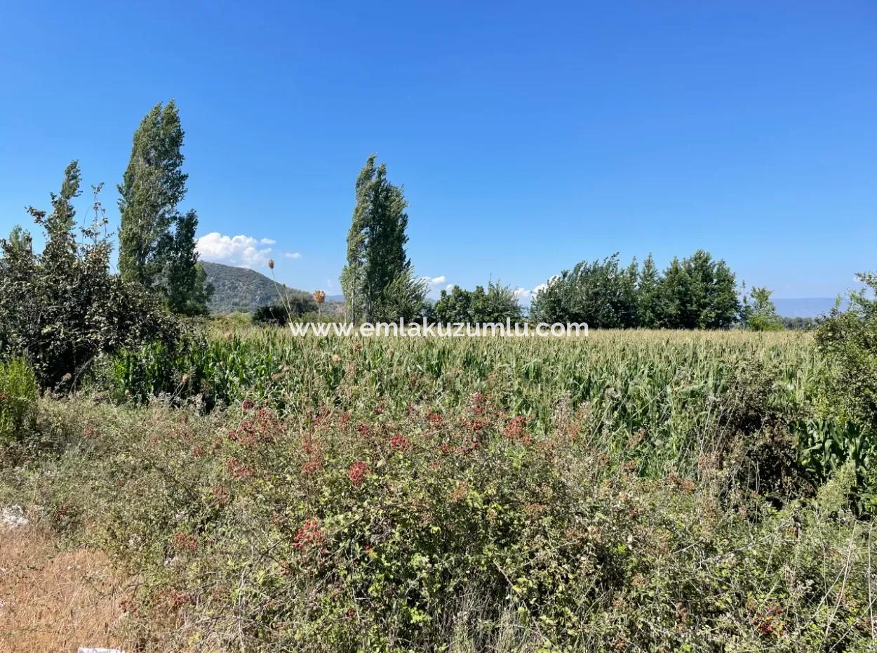 Dalyan Hauptstraße Null Grundstück Zum Verkauf 8115M2 Gewerbegrundstück Zum Verkauf