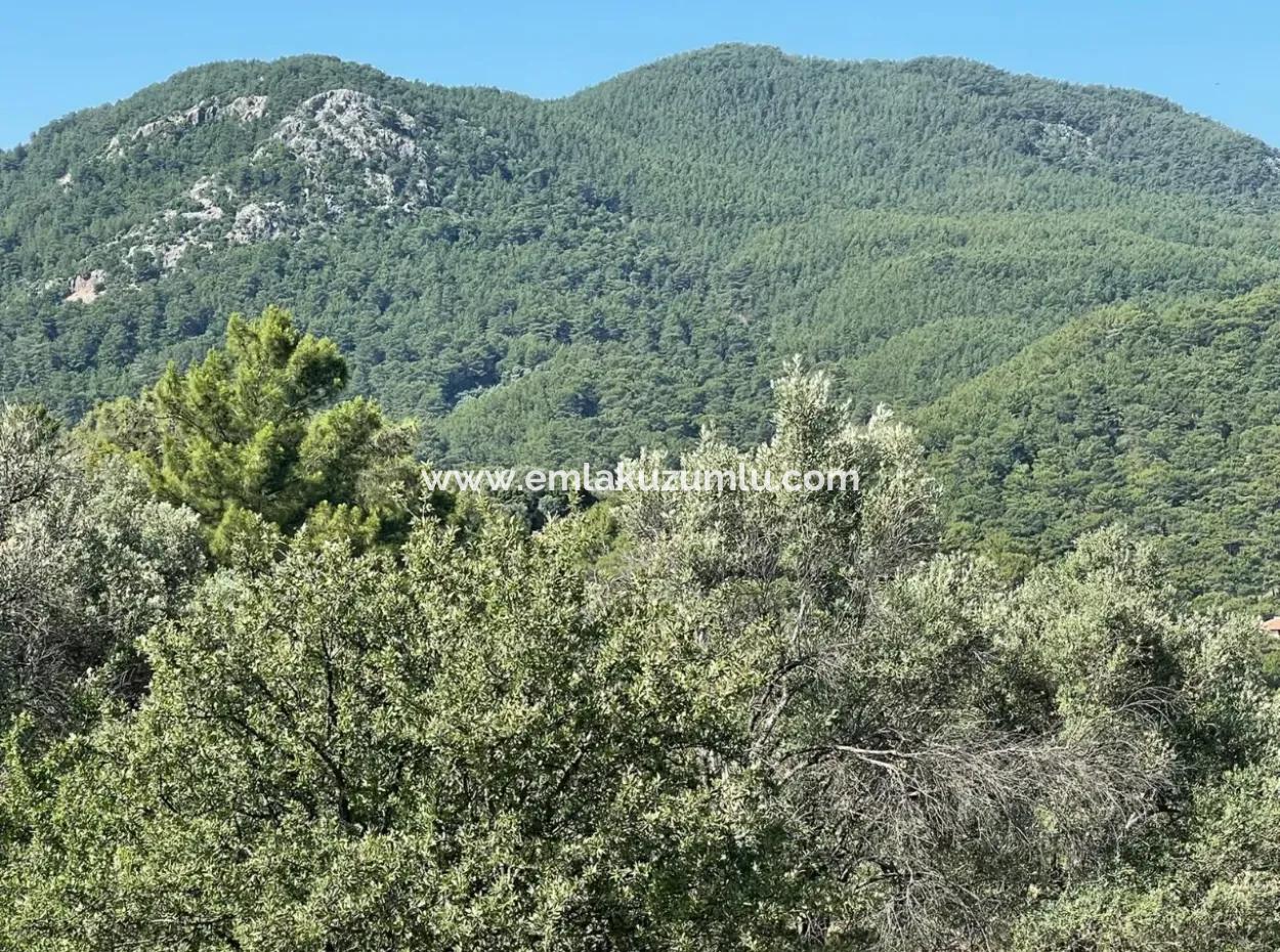 Grundstück Zum Verkauf Mit Meerblick In Gokbel