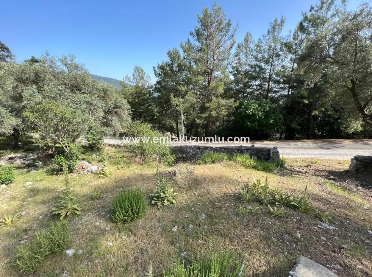 Einfamilienhaus Zum Verkauf Mit Ekincik Meerblick