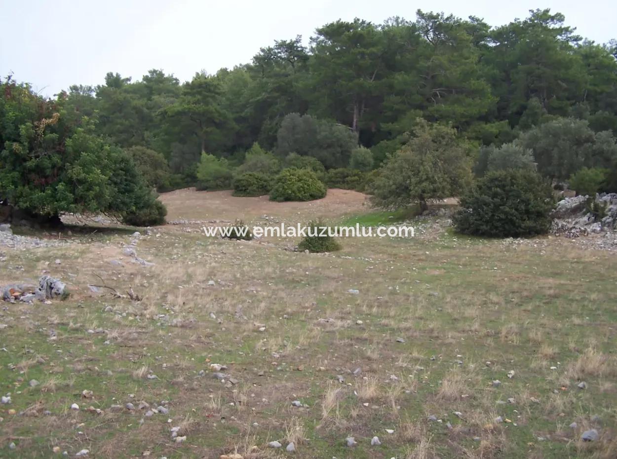 Steinhaus Zum Verkauf In Sarsalada Meerblick 4274M2 Grundstück
