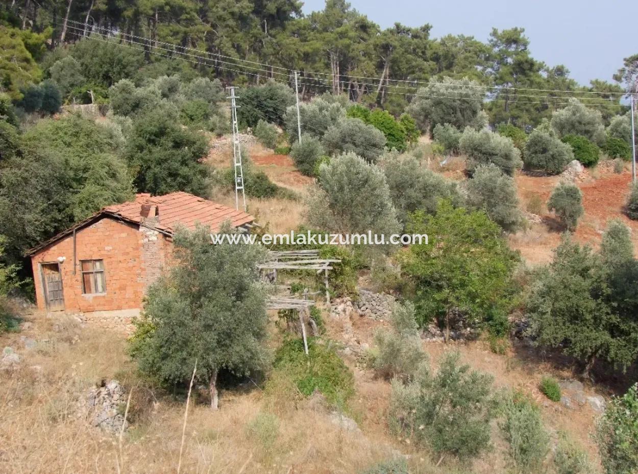 5000M2 Grundstück Zum Verkauf In Akyaka Mit Vollem Meerblick Haus Zum Verkauf Kentucky