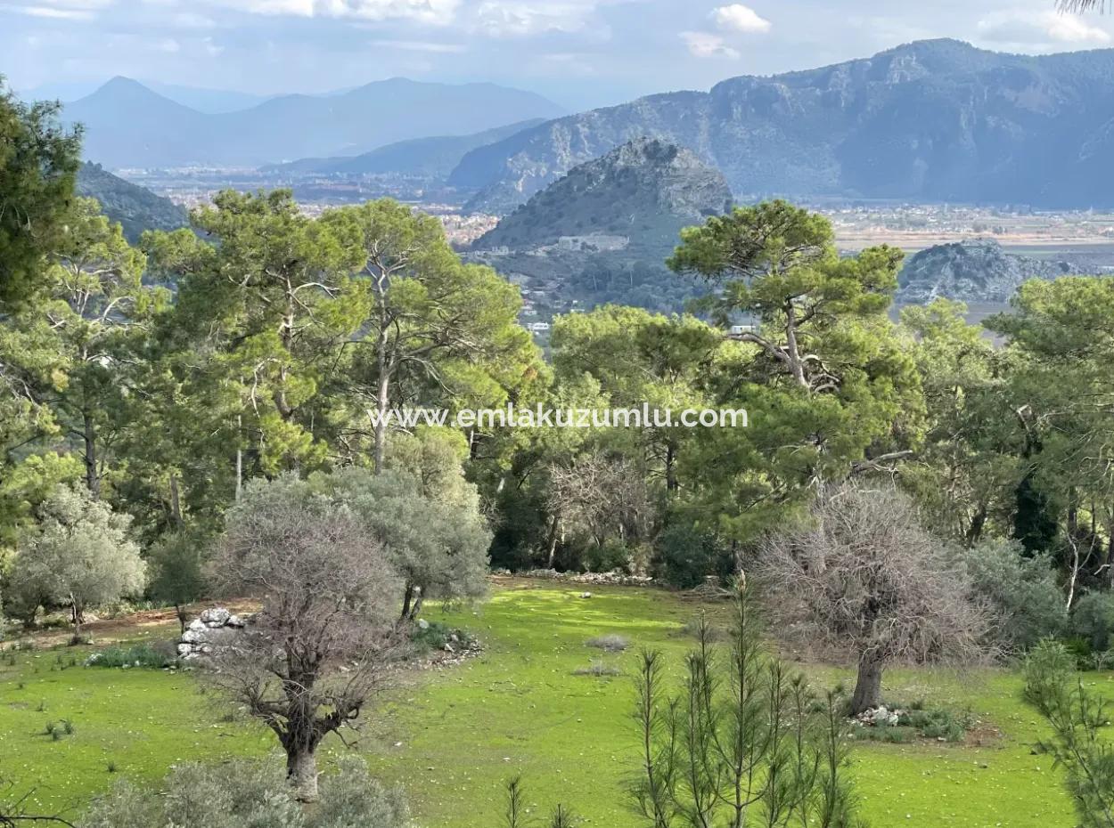 10.707M2 2B Feld Zu Verkaufen Mit Meerblick See In Çandır