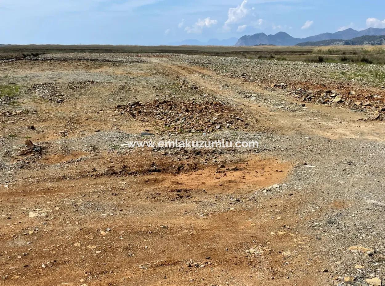 Dalyan Iztuzu Strand Straße Null 19.600M2 Feld Land Zum Verkauf