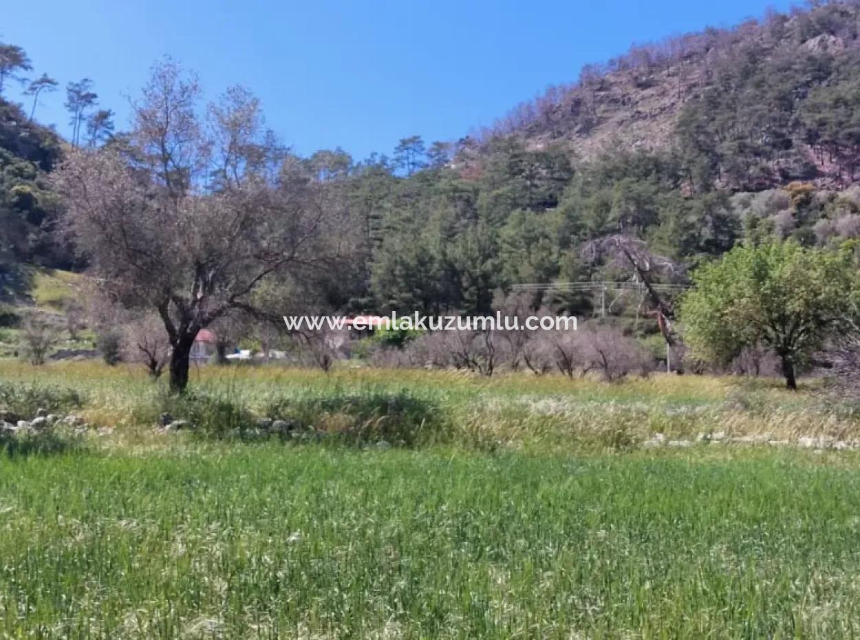 Marmaris Turgut Anlagegrundstück Zum Verkauf 29600M2 Zum Verkauf