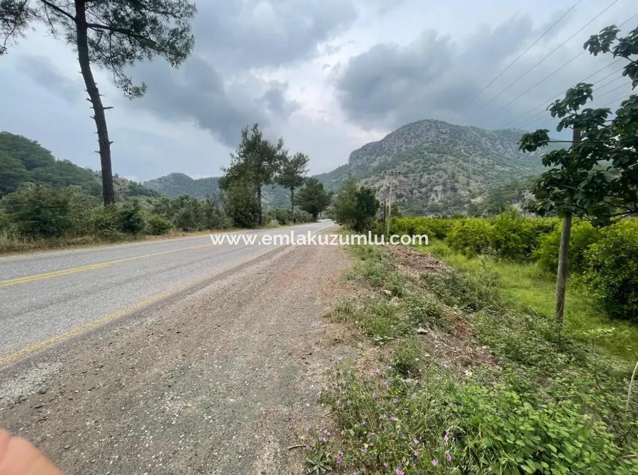 Gökbelde 14.000M2 Feld Zu Verkaufen