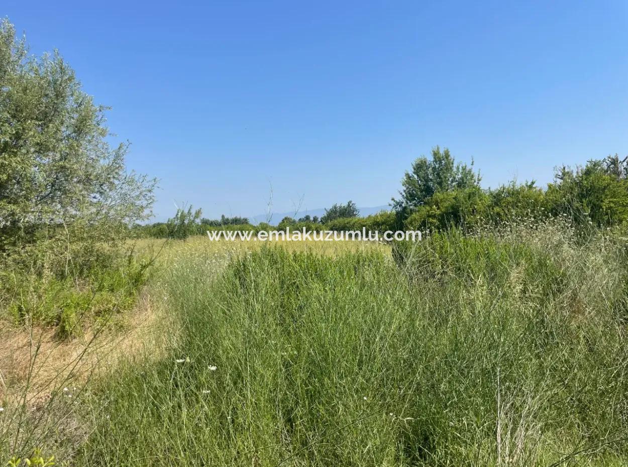 Grundstück Zum Verkauf Von 1765 M2 In Okçular