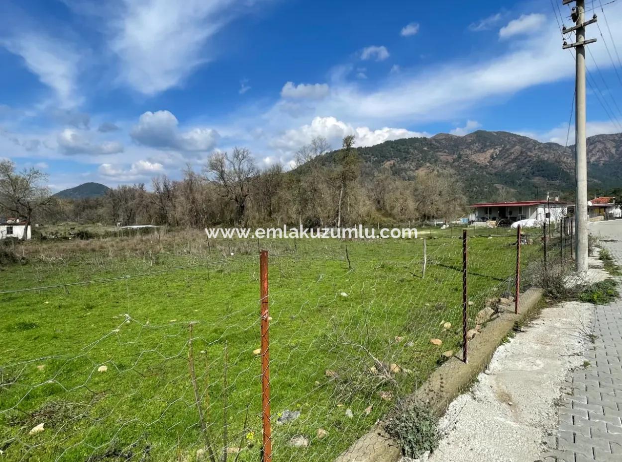 Sultaniye Büyükkaraç Mahallesin Gebraucht Kaufen Feld