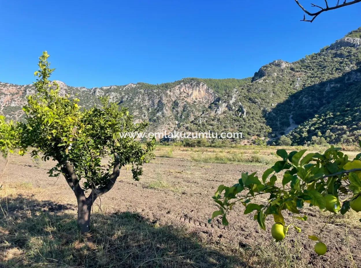 Grundstück Zum Verkauf In Dalyan In Der Nähe Des Zentrums Von 6600M2