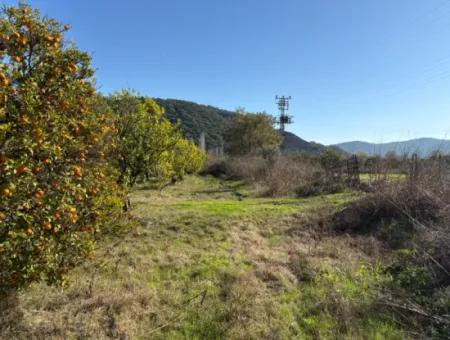 23.000M2 Freistehender Feldgarten Zum Verkauf In Tepearasin,