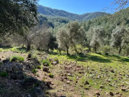 Grundstück Zum Verkauf In Natur Und Wald In Gökbel