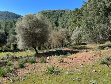 Grundstück Zum Verkauf In Natur Und Wald In Gökbel