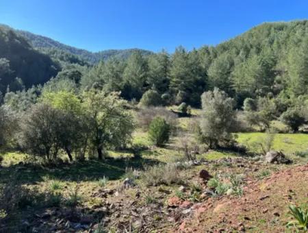 Grundstück Zum Verkauf In Natur Und Wald In Gökbel