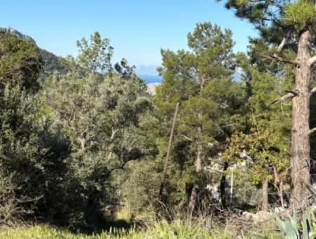 1000M2 Grundstück Zum Verkauf Mit Meerblick Im Dorf In Gökbel