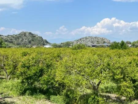 5.100 M2 Land Zum Verkauf In Der Gegend Von Dalyan Maraş Mit 5% Wohnzone