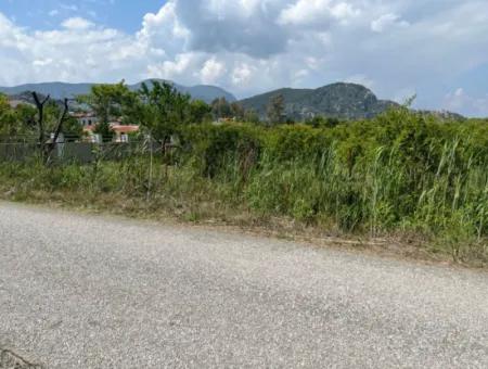 5.100 M2 Land Zum Verkauf In Der Gegend Von Dalyan Maraş Mit 5% Wohnzone