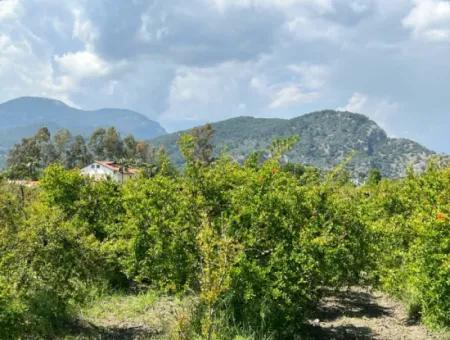 5.100 M2 Land Zum Verkauf In Der Gegend Von Dalyan Maraş Mit 5% Wohnzone