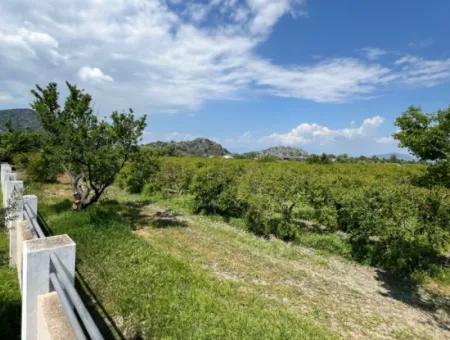 5.100 M2 Land Zum Verkauf In Der Gegend Von Dalyan Maraş Mit 5% Wohnzone