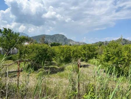 5.100 M2 Land Zum Verkauf In Der Gegend Von Dalyan Maraş Mit 5% Wohnzone