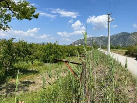 5.100 M2 Land Zum Verkauf In Der Gegend Von Dalyan Maraş Mit 5% Wohnzone