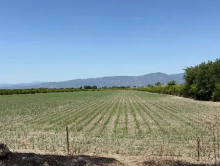46.550M2 Grundstück Zum Verkauf In Tepearası