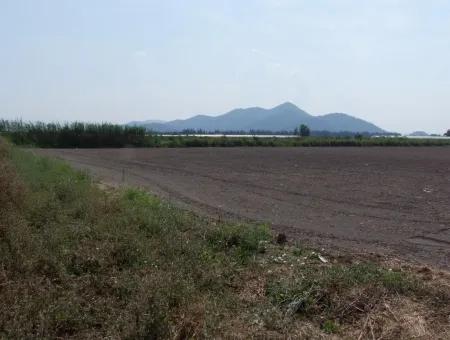 Bauernhof Zum Verkauf In Dalyan Eskikoy Eskikoy Oriya 14,900M2 Grundstück Zu Verkaufen Feld