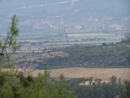 Gökçe Gökçe 21671M2 Bauernhof Zum Verkauf Zum Verkauf
