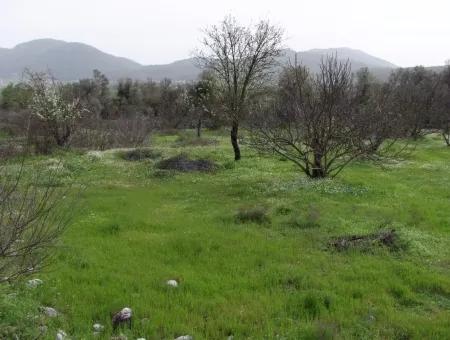 In Incirkoy Uzumlu Fethiye Grundstück Für Verkauf Bauernhof Zum Verkauf In Incirkoy