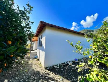 Einstöckiges Haus Zum Verkauf In 5000M2 Grundstück In Çandır
