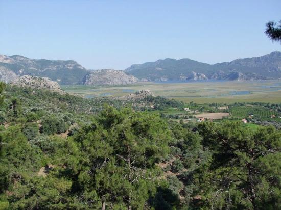 19.334 M² Großes Grundstück Zum Verkauf In Çandır, Köyceğiz.