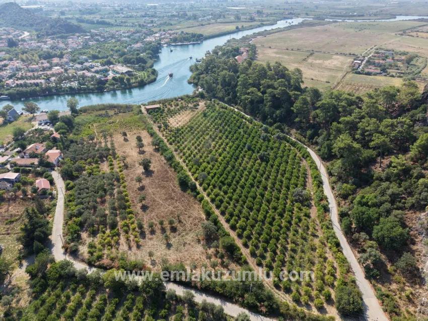 Field For sale in Çandır Nbh. Köyceğiz - Field Zoned - 20.000 m²