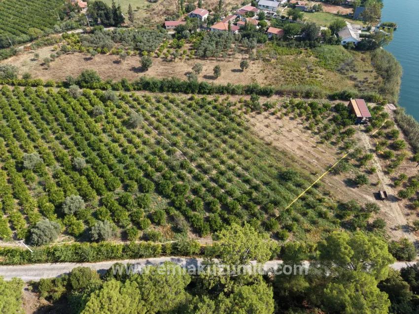 Field For sale in Çandır Nbh. Köyceğiz - Field Zoned - 20.000 m²