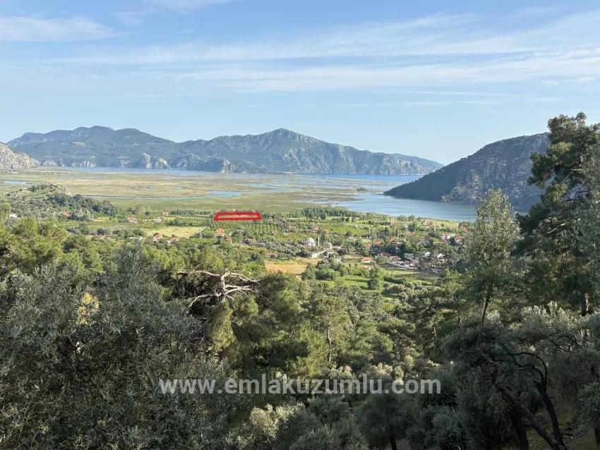 Field For sale in Çandır Nbh. Köyceğiz - Field Zoned - 1.252 m²