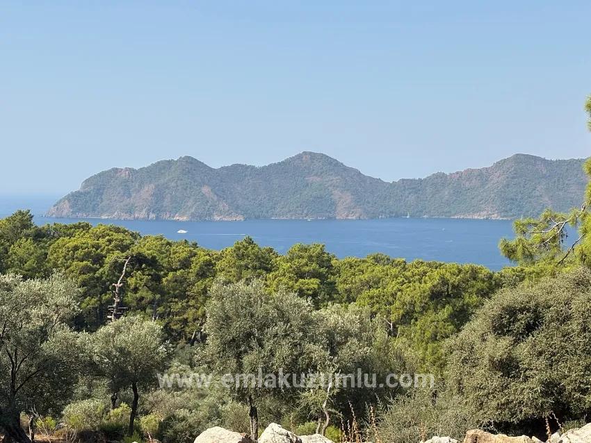 Field For sale in Çandır Nbh. Köyceğiz - Field Zoned - 21.000 m²