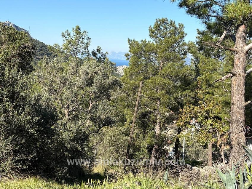 1000m2 Land For Sale With Sea View In Gökbel Village Residential Area