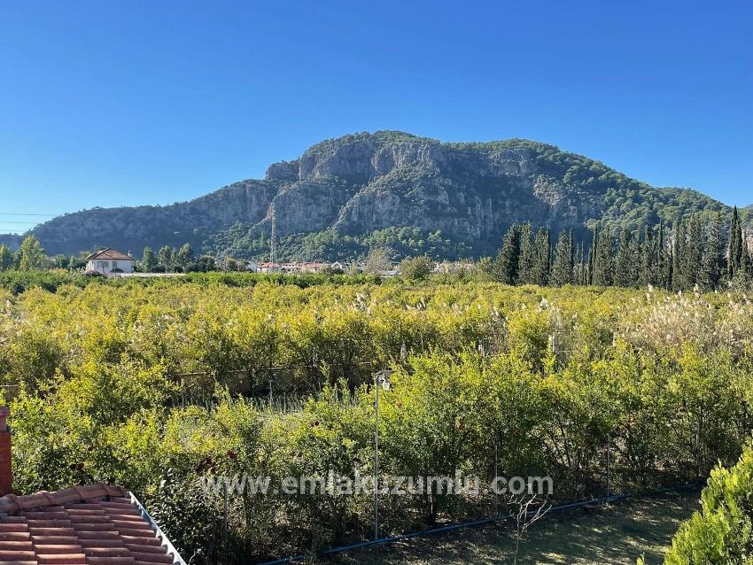 4+2 Villa For Sale On A 6000m2 Plot In Dalyan Gülpınar