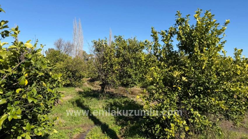 2.218m2 Land For Sale In Okçular Marmarlı