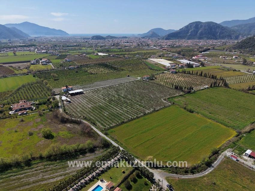 17.550m2 Vineyard-bahce For Sale Close To Dalyan Center